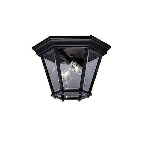 Madison 2 Light 10.75 inch Outdoor Ceiling Light