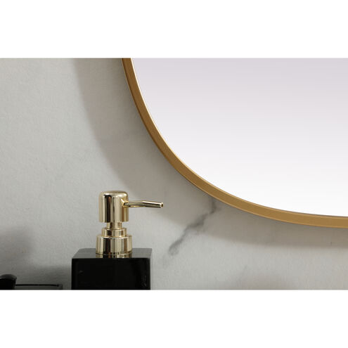 Brynn 40 X 24 inch Brass Mirror in 24 x 40