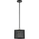 Industro 1 Light 10 inch Black with Brushed Nickel Accents Pendant Ceiling Light