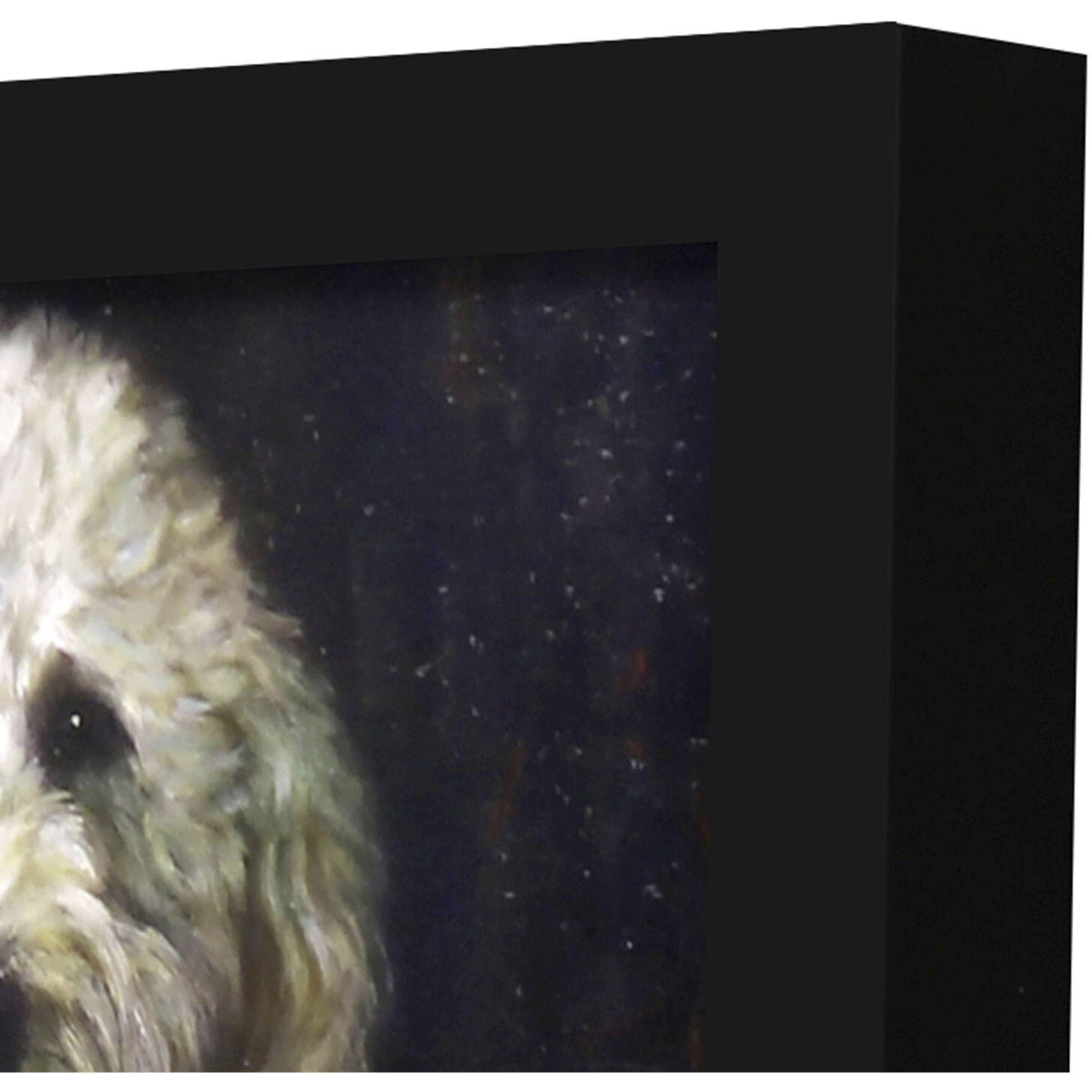 Animals 11 X 9 inch Non-Glass Framed Art, Propac
