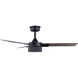 Cale 42 inch Black Ceiling Fan