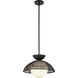 Perth 1 Light 14.75 inch Matte Black Pendant Ceiling Light