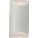 Ambiance Outdoor Wall Sconce