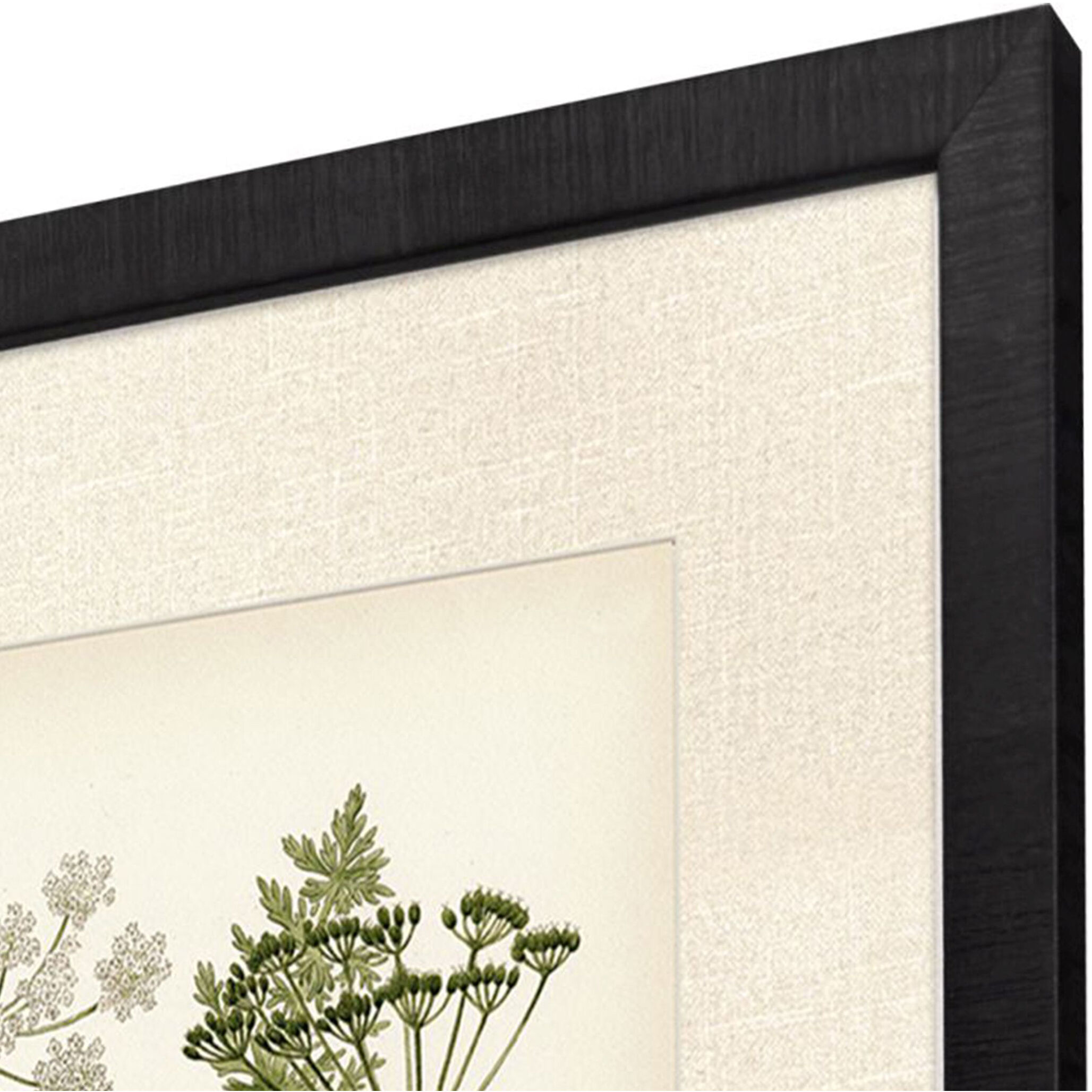 Queen's Lace Green and Neutral Framed Art, Propac
