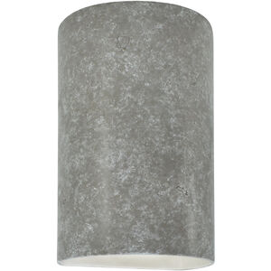 Ambiance Cylinder LED 9.5 inch Bisque Outdoor Wall Sconce, Small