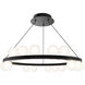 Carousel LED 28 inch Black Chandelier Ceiling Light in 4000K, dweLED