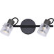 Owen Black and Wood Track Lighting Ceiling Light