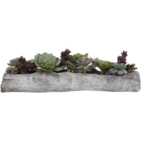 Charita Solid Concrete Succulents