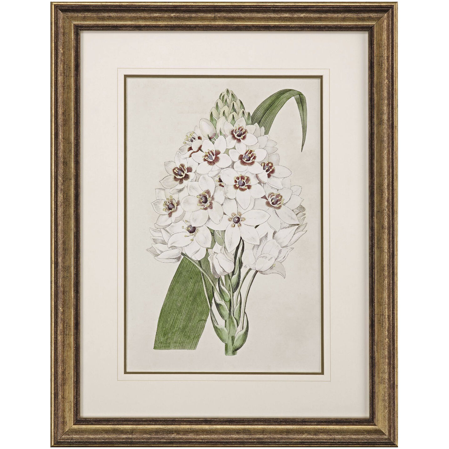 Flore Albo Green and Neutral and Brown Framed Art, Propac