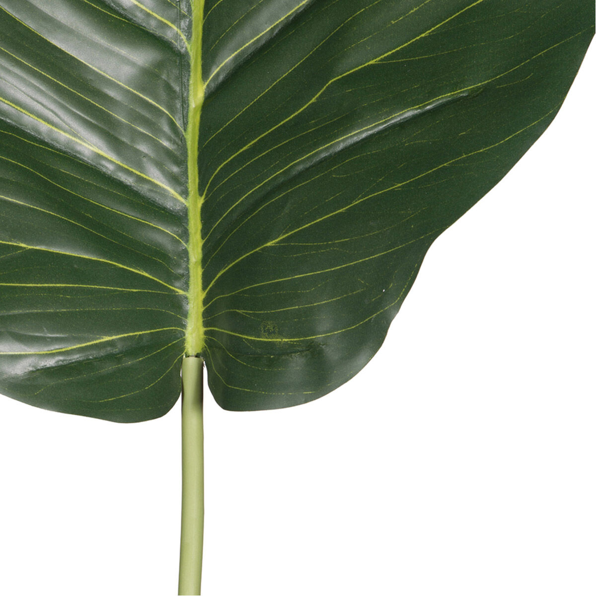 Faux Palm Green Stems