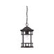 Vista II 1 Light 8.75 inch Outdoor Pendant/Chandelier