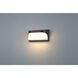 Laguna LED 5 inch Black Flush Mount