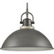 North Shore 1 Light 18 inch Iron with Palisade Gray Outdoor Pendant