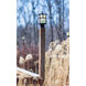 Coldwater 1 Light 9 inch Black Outdoor Hanging Lantern in White