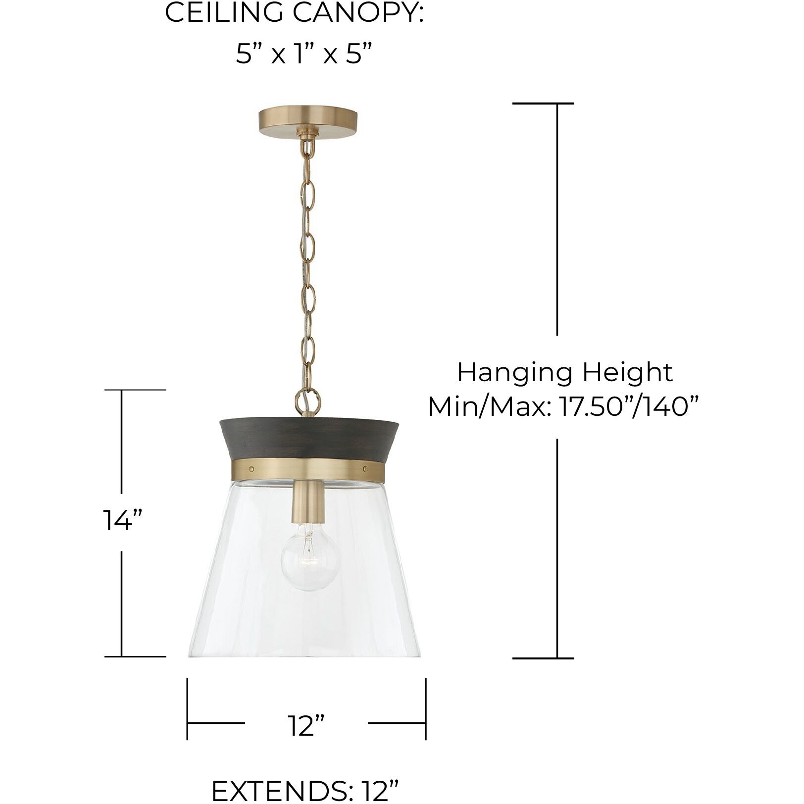 Finn 1 Light 12 inch Black Stain and Matte Brass Pendant Ceiling Light