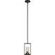 Hank 1 Light 6 inch Pendant Ceiling Light