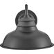 Wallace Outdoor Barn Light in Aged Zinc, Gooseneck