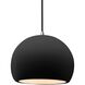 Radiance LED 10 inch Carbon Matte Black and Brushed Nickel Pendant Ceiling Light