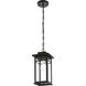Mercer 1 Light 6.5 inch Black Outdoor Pendant