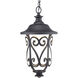 Leawood LED LED 10 inch Textured Black Outdoor Hanging Lantern, Design Series