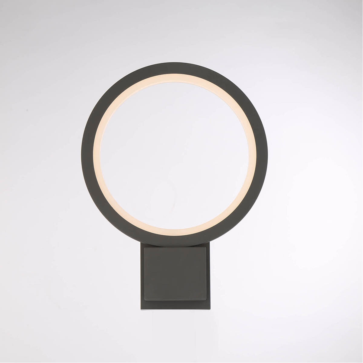 Signature LED 16 inch Graphite Grey Outdoor Wall Sconce