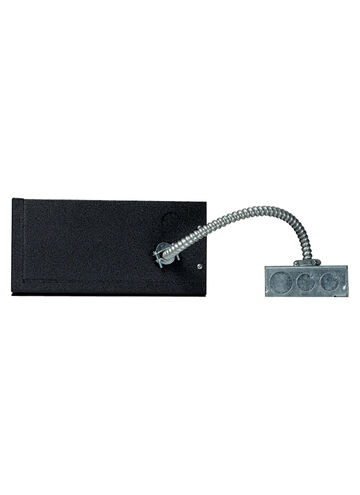 Two Circuit Monorail 12V Rail Remote Transformer Ceiling Light