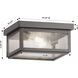 Branford 2 Light 10.25 inch Gunmetal Outdoor Semi Flush in Seedy Glass, Brass Traditions by Innovations Lighting