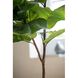 Fiddle-Leaf Green Faux Fiddle Leaf Tree