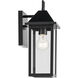 Prin 1 Light 14 inch Black Outdoor Wall Light, Small