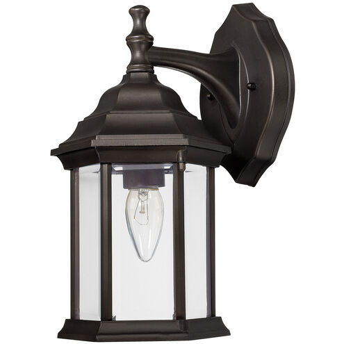 Outdoor 1 Light 12 inch Old Bronze Outdoor Wall Lantern