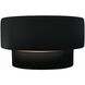 Ambiance 1 Light 10 inch Carbon Matte Black Wall Sconce Wall Light