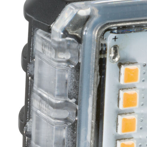 Independence 12 1.50 watt Clear Landscape 12V Led Lamps