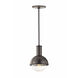 Riley 1 Light 6 inch Old Bronze Pendant Ceiling Light