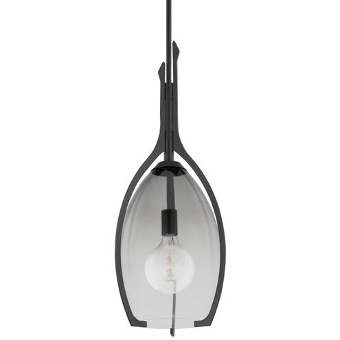 Pacifica 1 Light 13 inch Forged Iron Pendant Ceiling Light