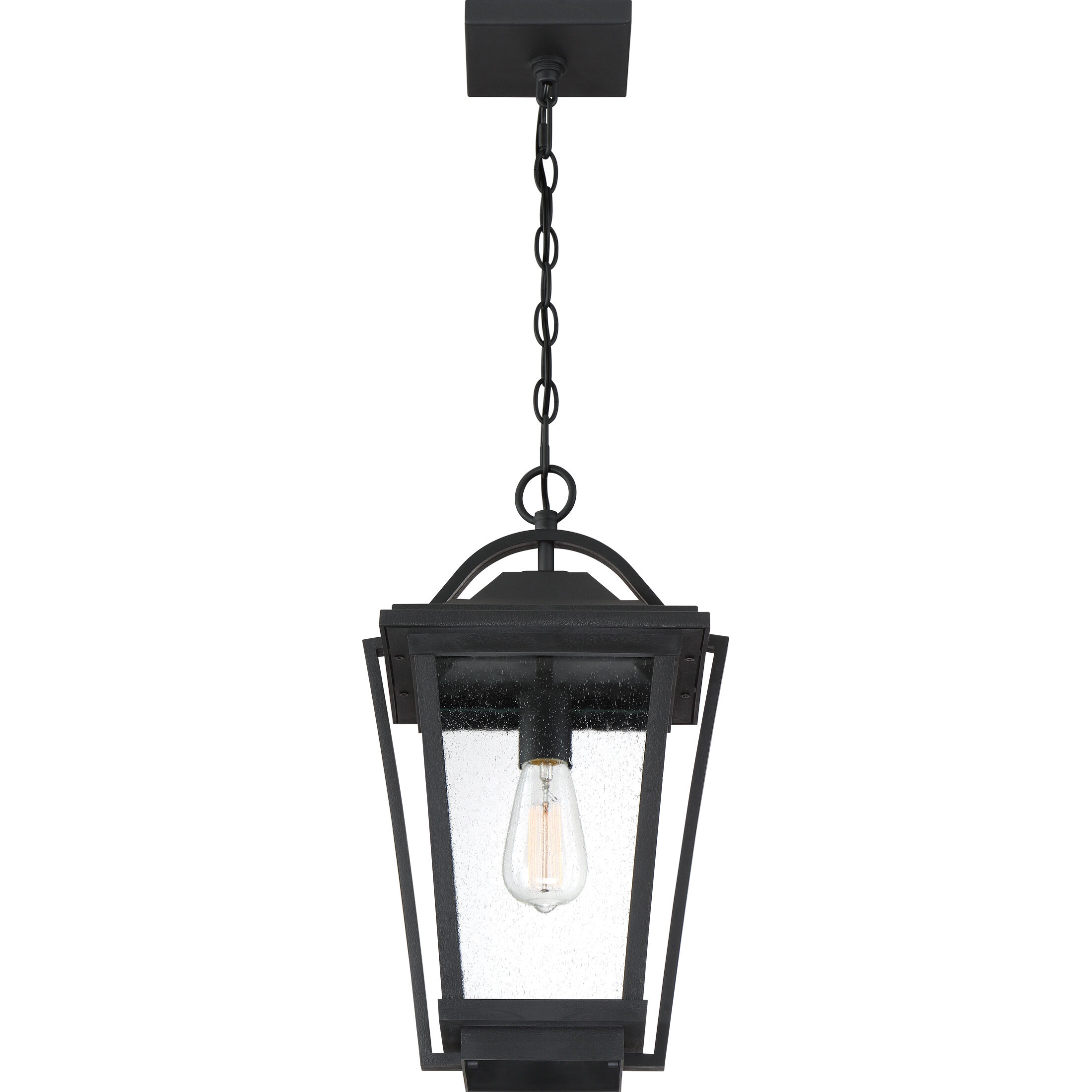 Darius 1 Light 11 inch Earth Black Outdoor Hanging Lantern