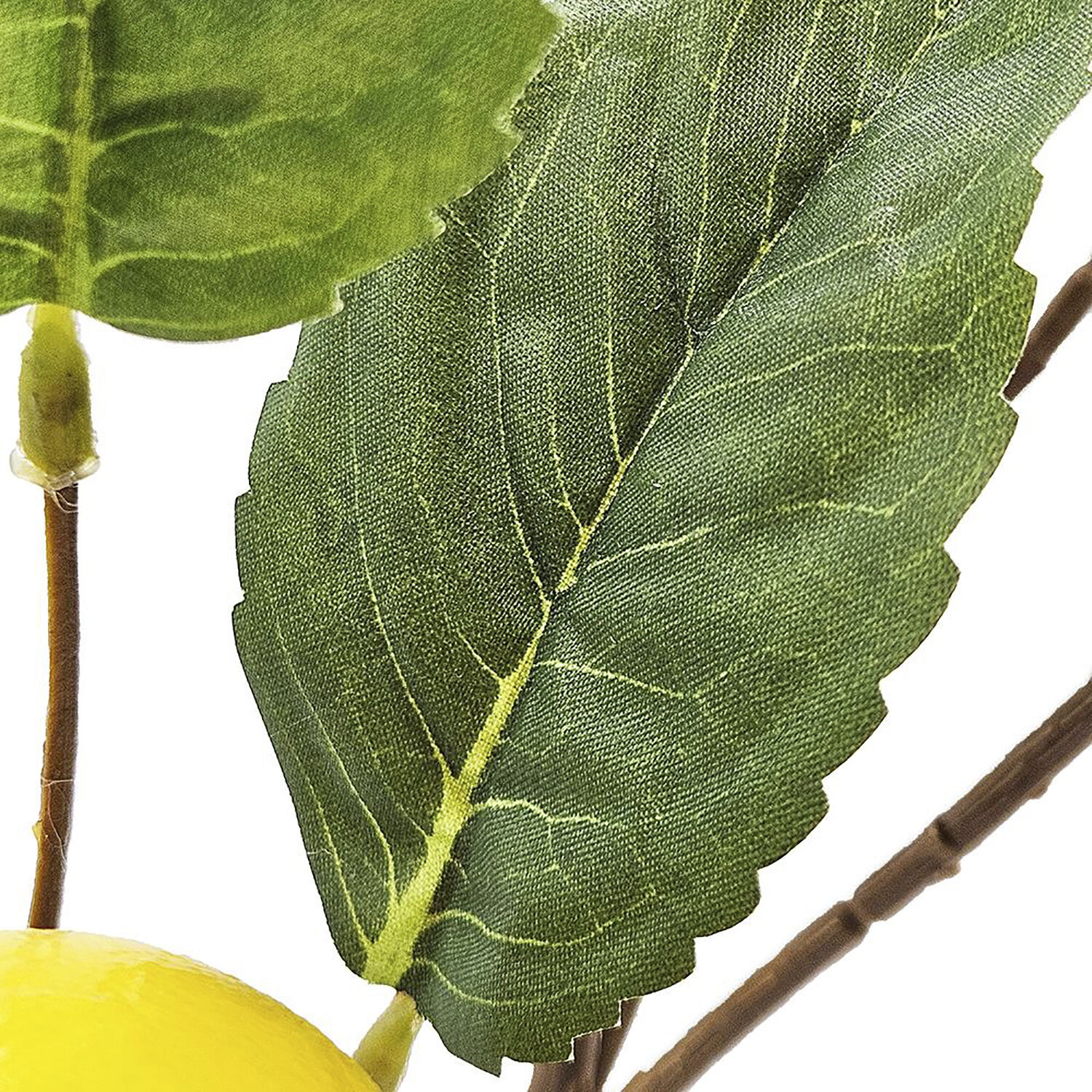 Lemon Spray Green and Yellow Botanical