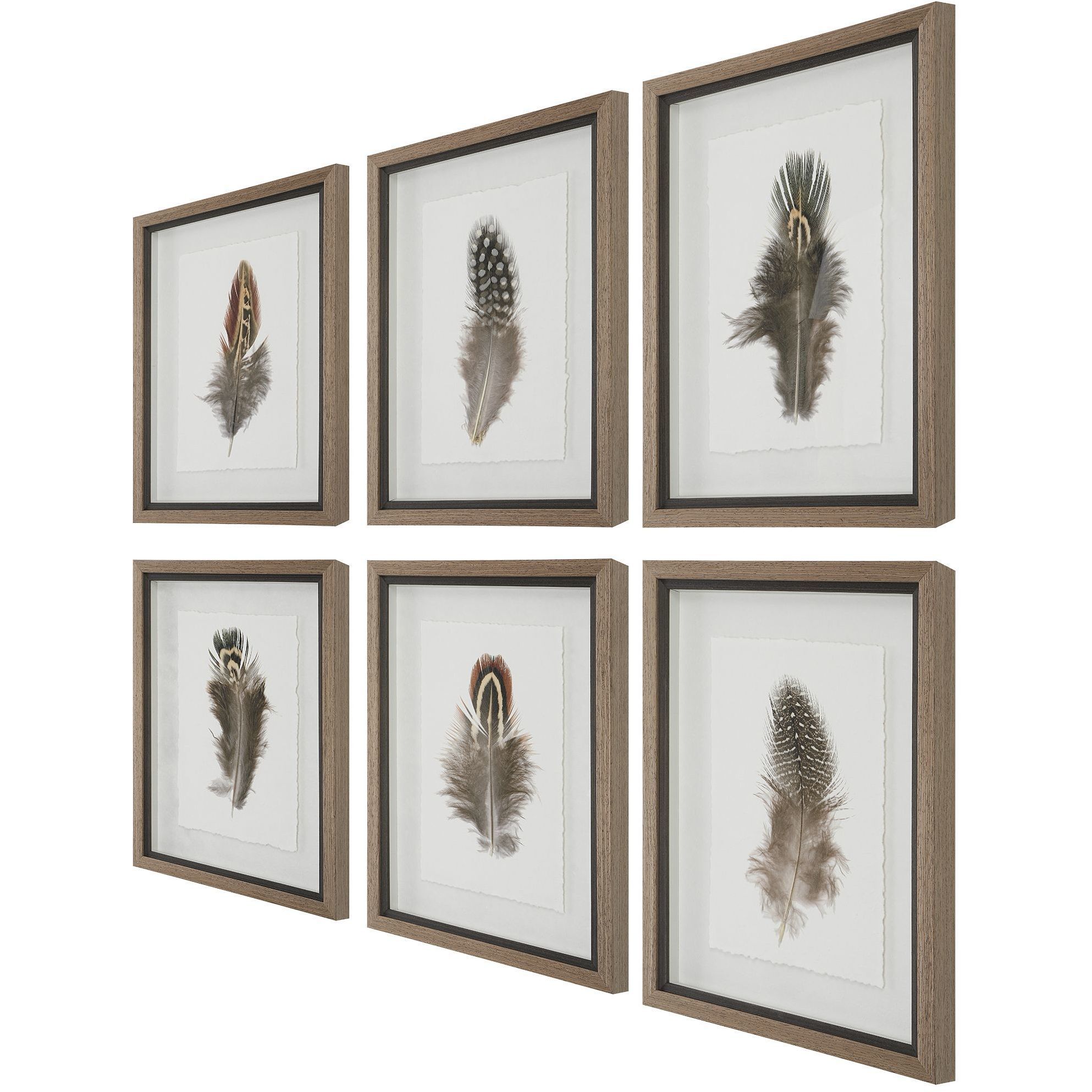 Birds Of A Feather 20 X 15 inch Framed Prints, Set of 6