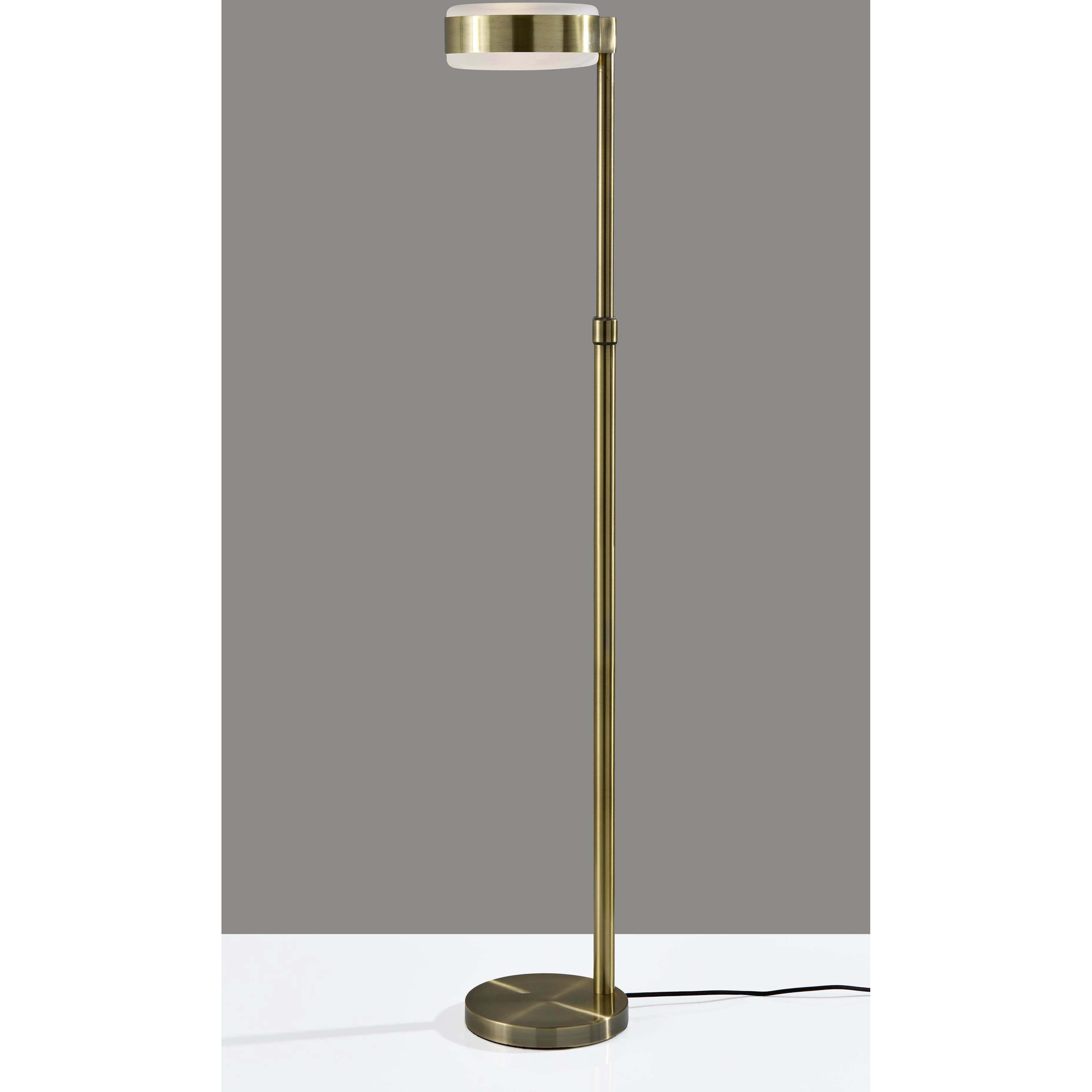 Linis 45 inch 40.00 watt Antique Brass Floor Lamp Portable Light, ADS360