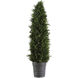 Cypress Cone Aged Dark Gray Topiary