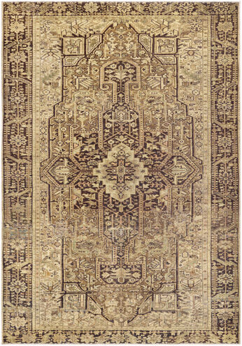 Amelie 87 X 63 inch Brown Rug in 5 x 8, Rectangle