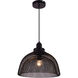 Warren 1 Light 14 inch Black Pendant Ceiling Light