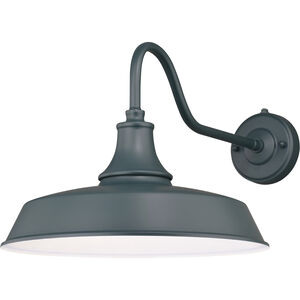 Dorado LED 12.25 inch Hunter Green and White Outdoor Wall