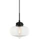 Irresistible Organic Charm 1 Light 10.25 inch Clear Pendant Ceiling Light