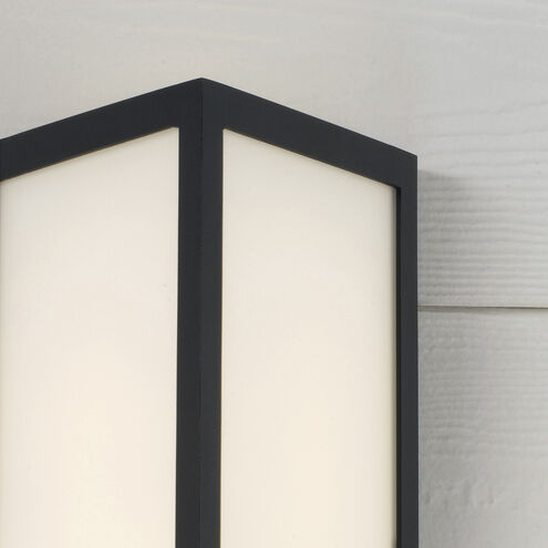 Irvin LED 22.5 inch Black Outdoor Wall Lantern