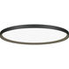 Bina LED 32 inch Black Surface Mount Ceiling Light