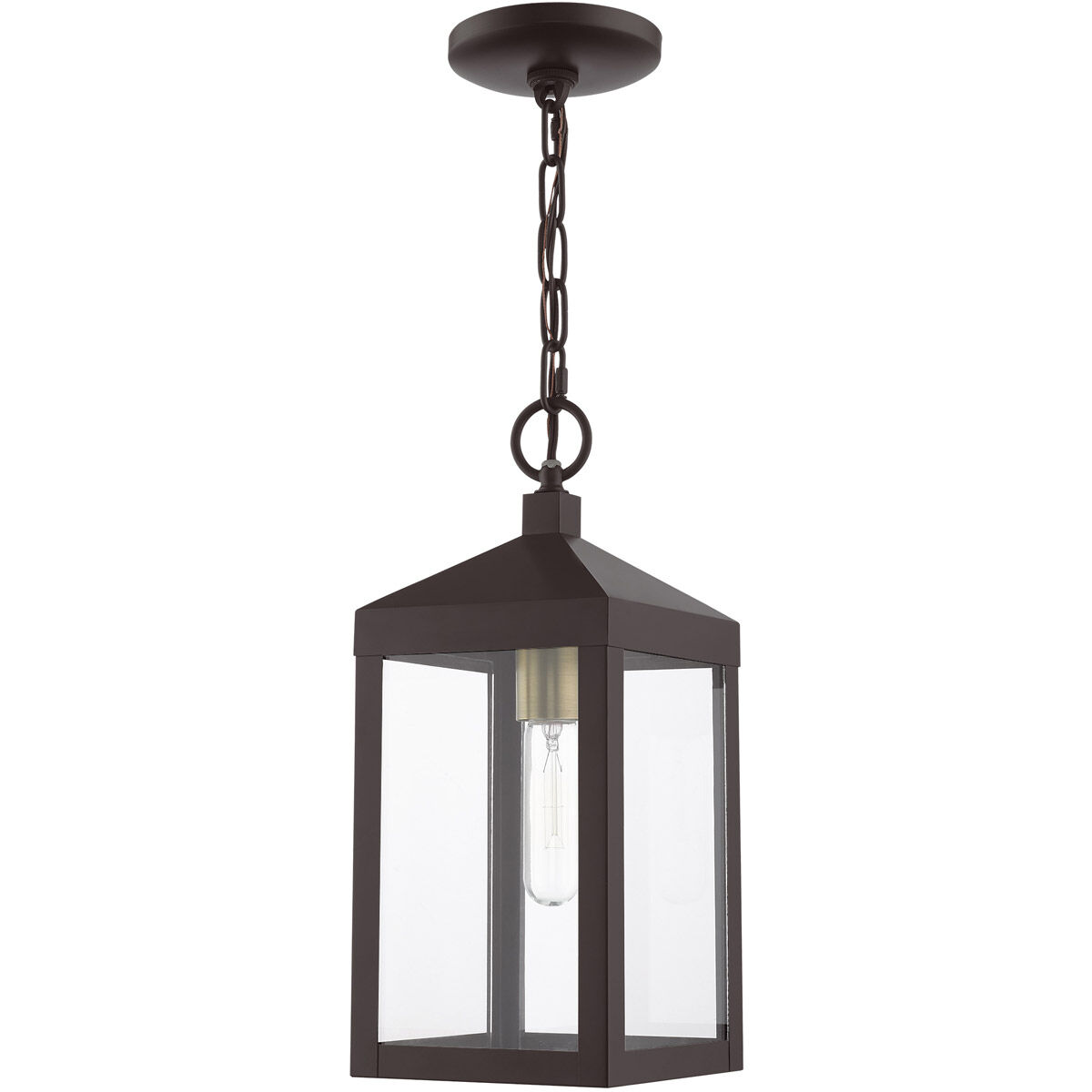 Nyack 1 Light 6.25 inch Bronze with Antique Brass Cluser Outdoor Pendant Lantern