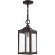 Nyack 1 Light 6.25 inch Bronze with Antique Brass Cluser Outdoor Pendant Lantern