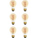 Raedyn LED A19 San'an LED E26 6 watt 120V 2000K LED Light Bulb, Pack of 6