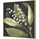 Botanical Study Green with Black and Gold Framed Wall Art, I