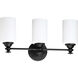 Neighborhood Dardyn 3 Light 21.5 inch Espresso Vanity Light Wall Light in White Frosted Glass